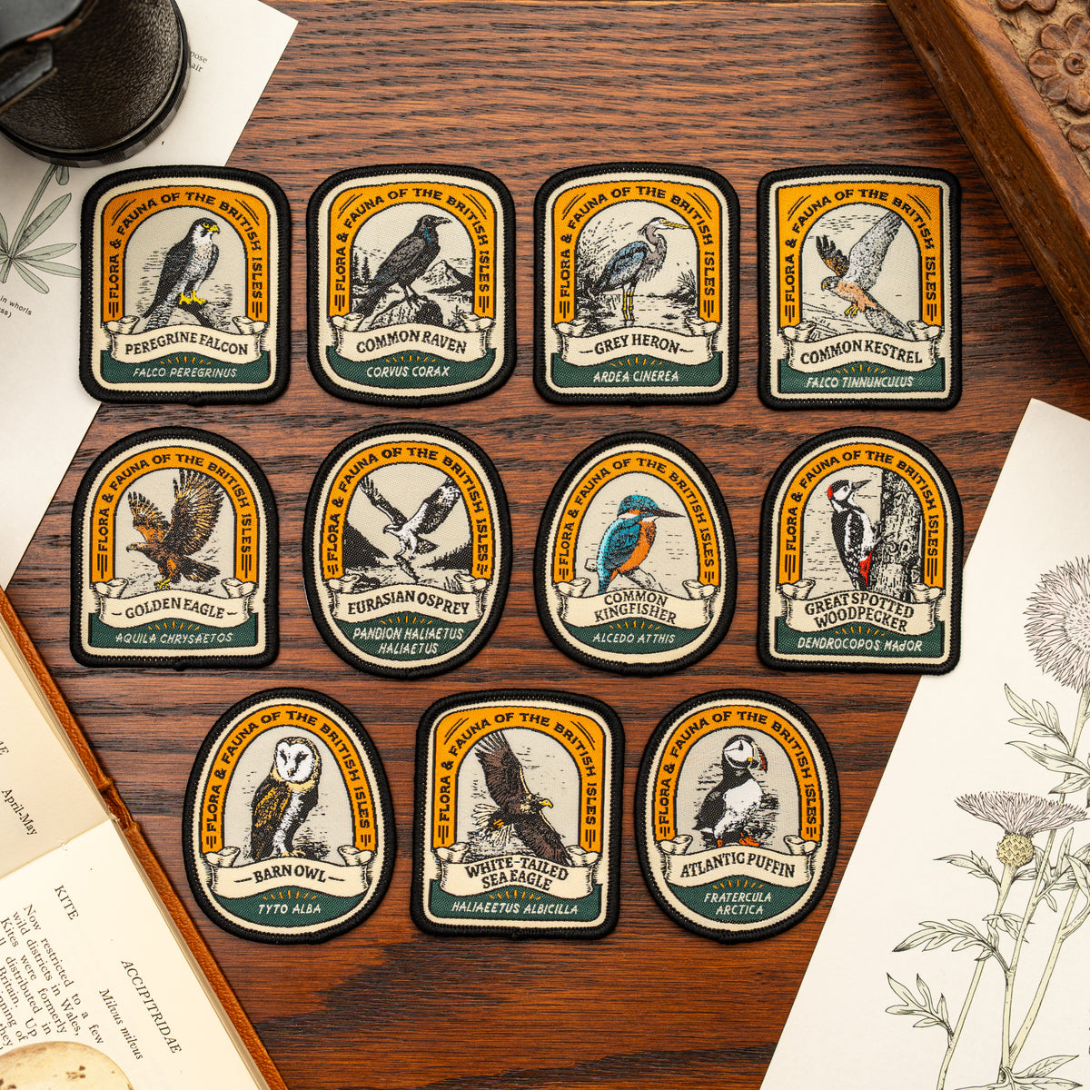 British Wildlife woven patches collection - retro patches celebrating British flora and fauna
