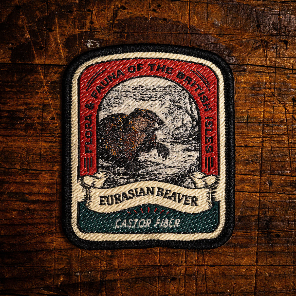 Eurasian Beaver retro woven patch - reintroduced British river mammal, wildlife patch, iron-on backing