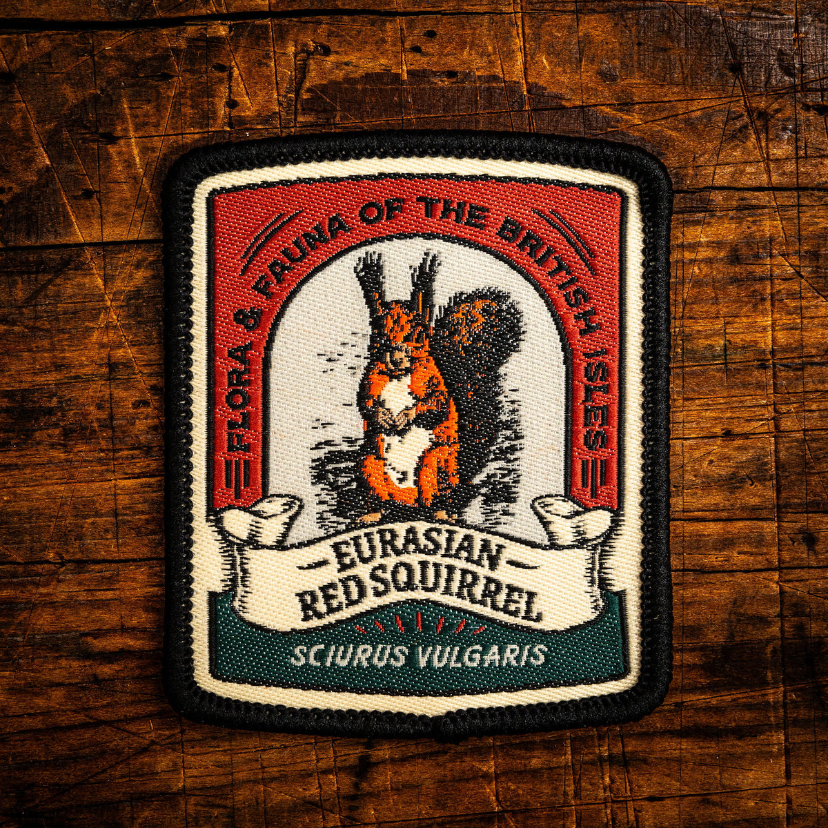 Eurasian Red Squirrel retro woven patch - protected British mammal, wildlife patch, iron-on backing