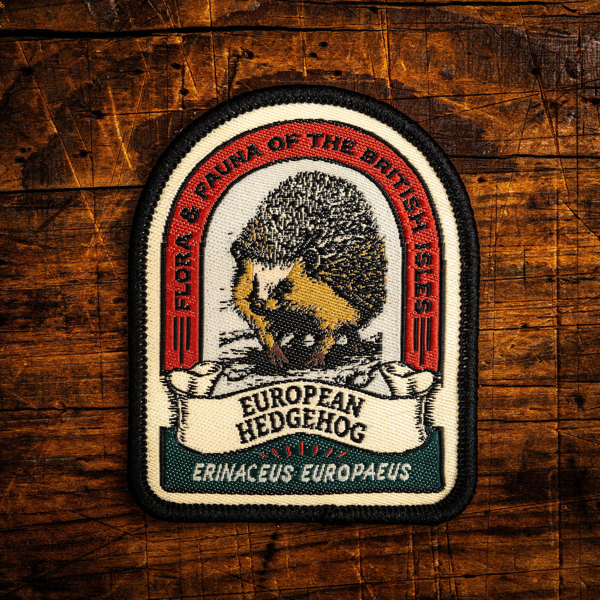 European Hedgehog retro woven patch - beloved British garden mammal, wildlife patch, iron-on backing