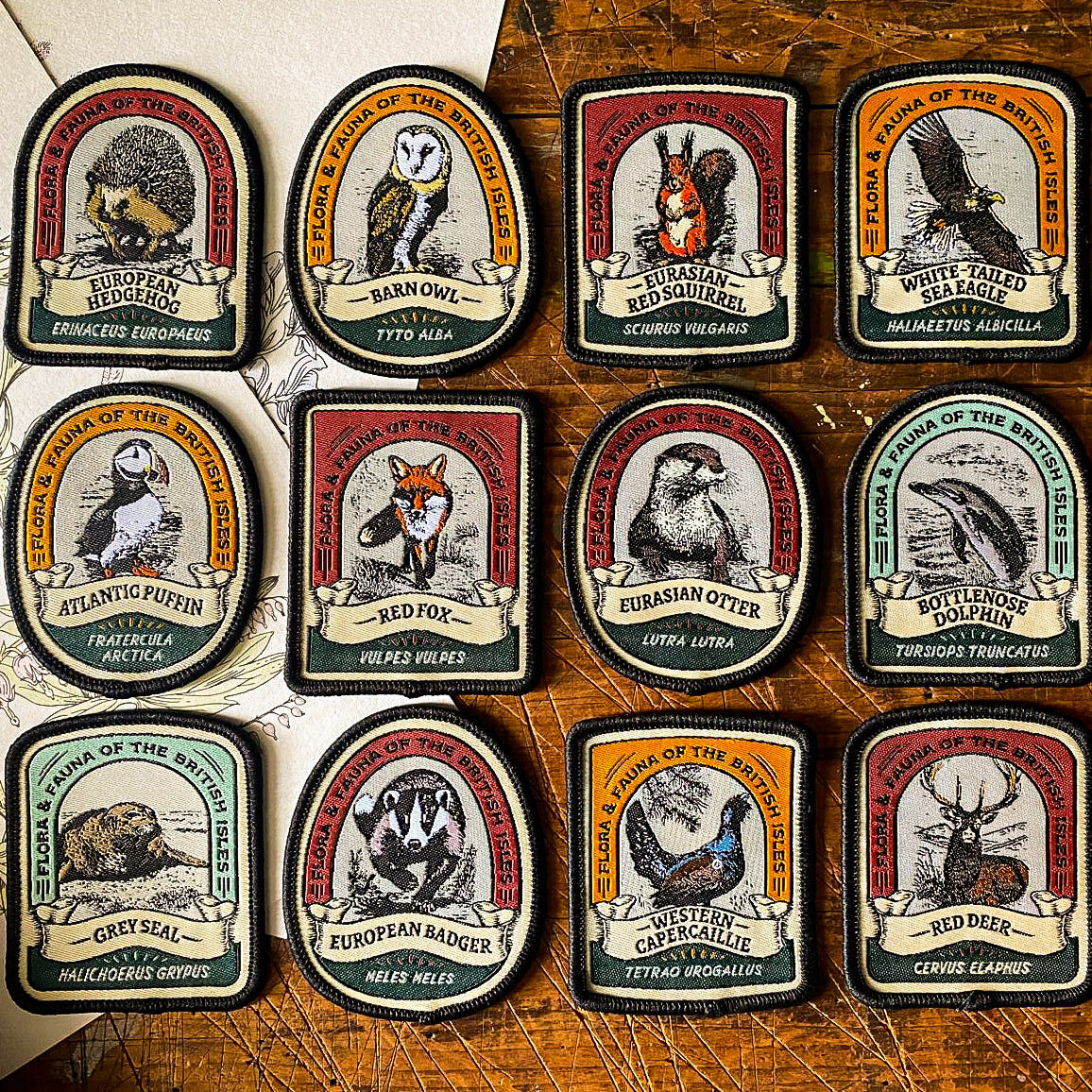 British Wildlife patches including European Badger - retro woven wildlife patches collection