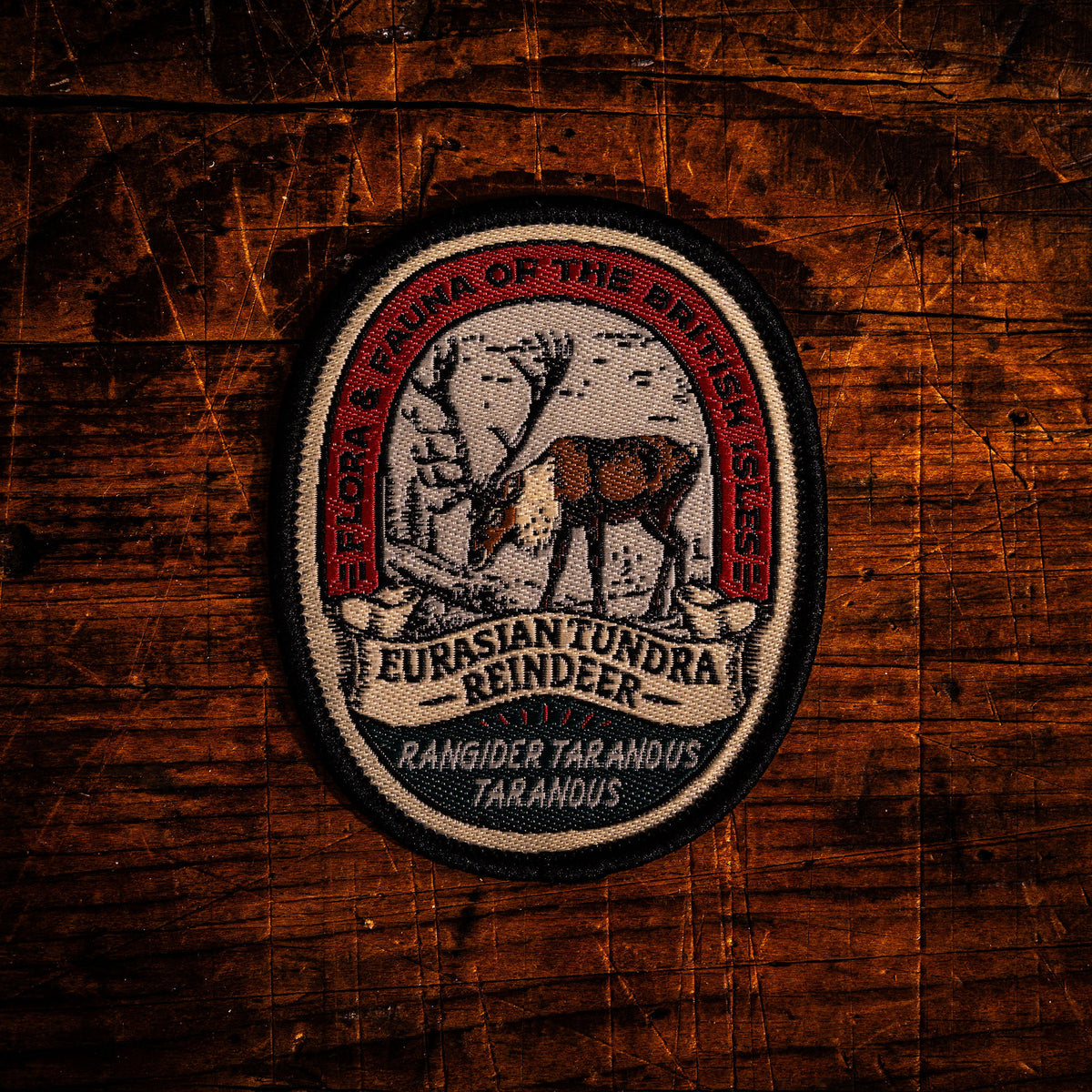 Reindeer retro woven patch - Cairngorms reindeer herd, iconic Scottish wildlife, wildlife patch, iron-on
