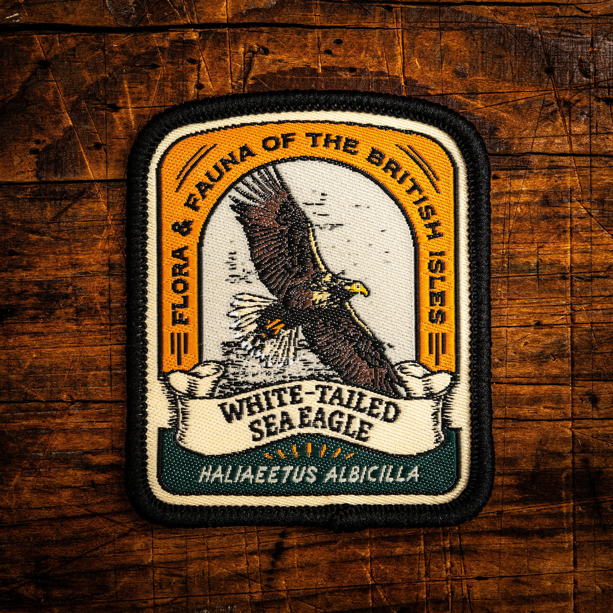 White-tailed Sea Eagle retro woven patch - largest UK bird of prey, wildlife patch, iron-on backing