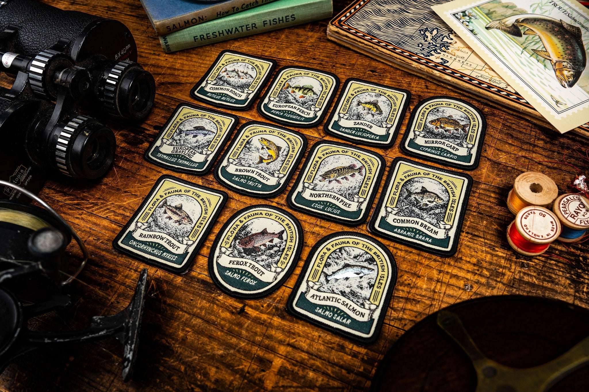 New fish patches!