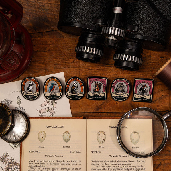 New - British Wildlife Pin Badges!