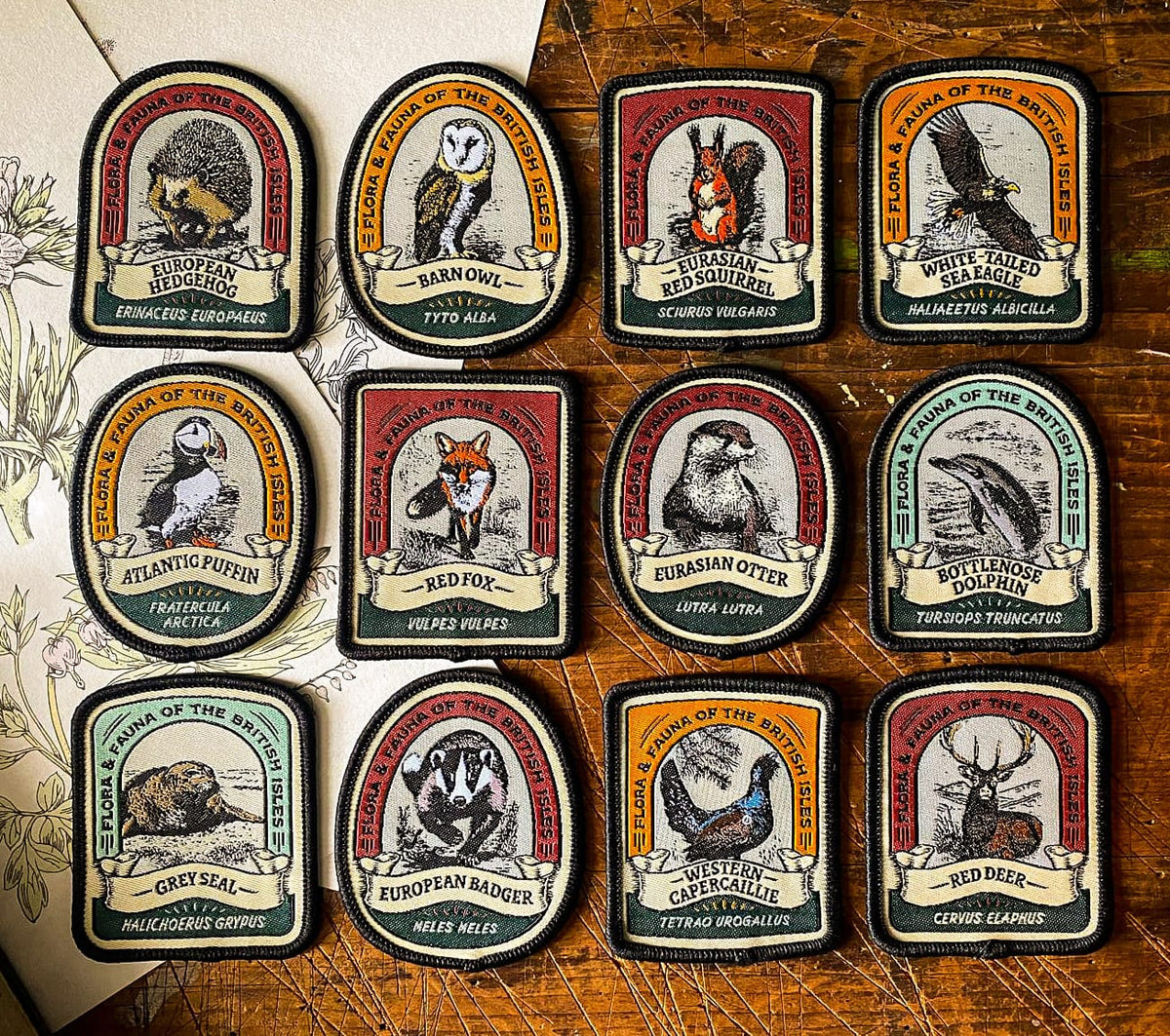 New British Wildlife Patches! First 12 in the range