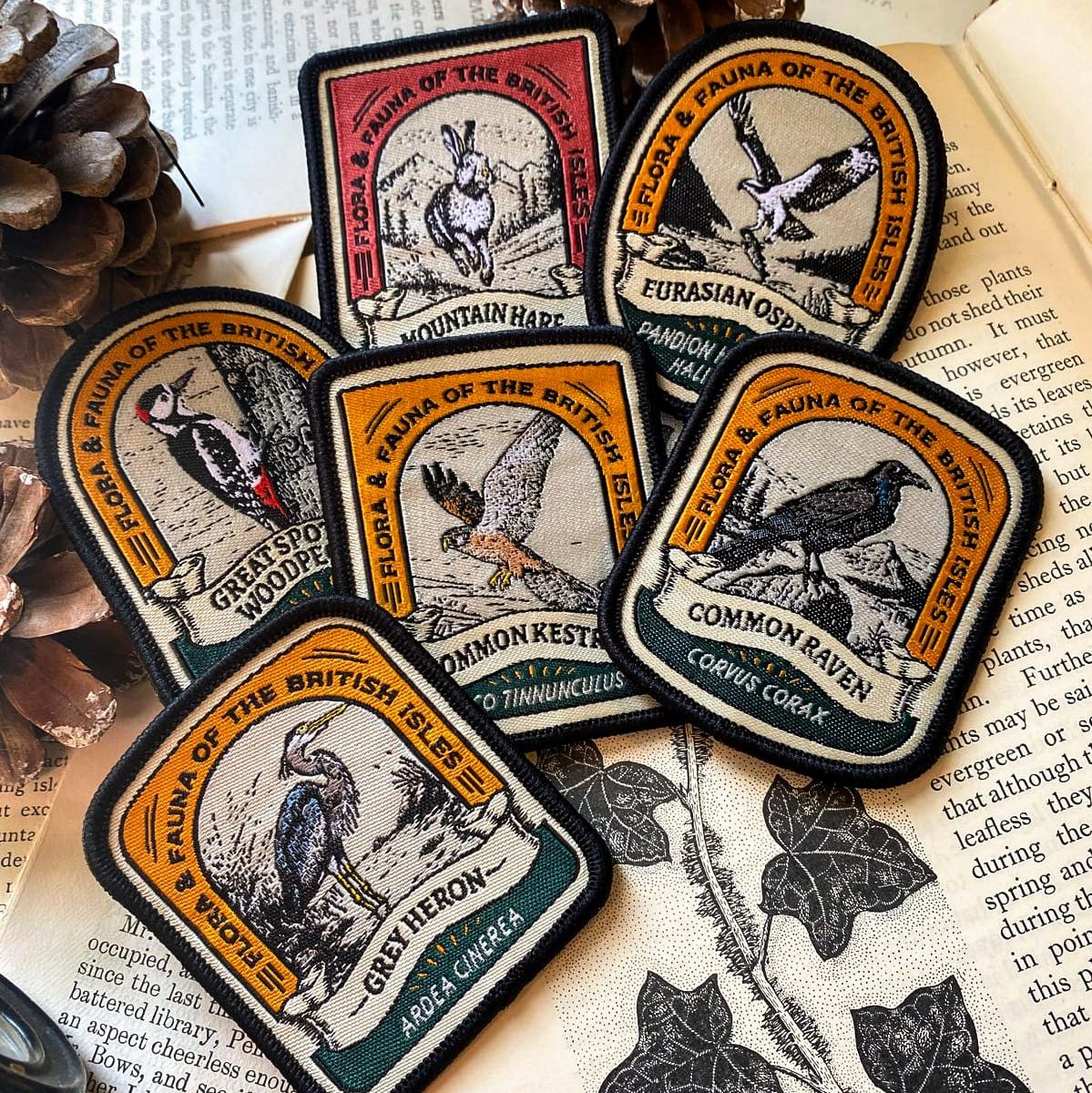 Common Raven patch – The Adventure Patch Company