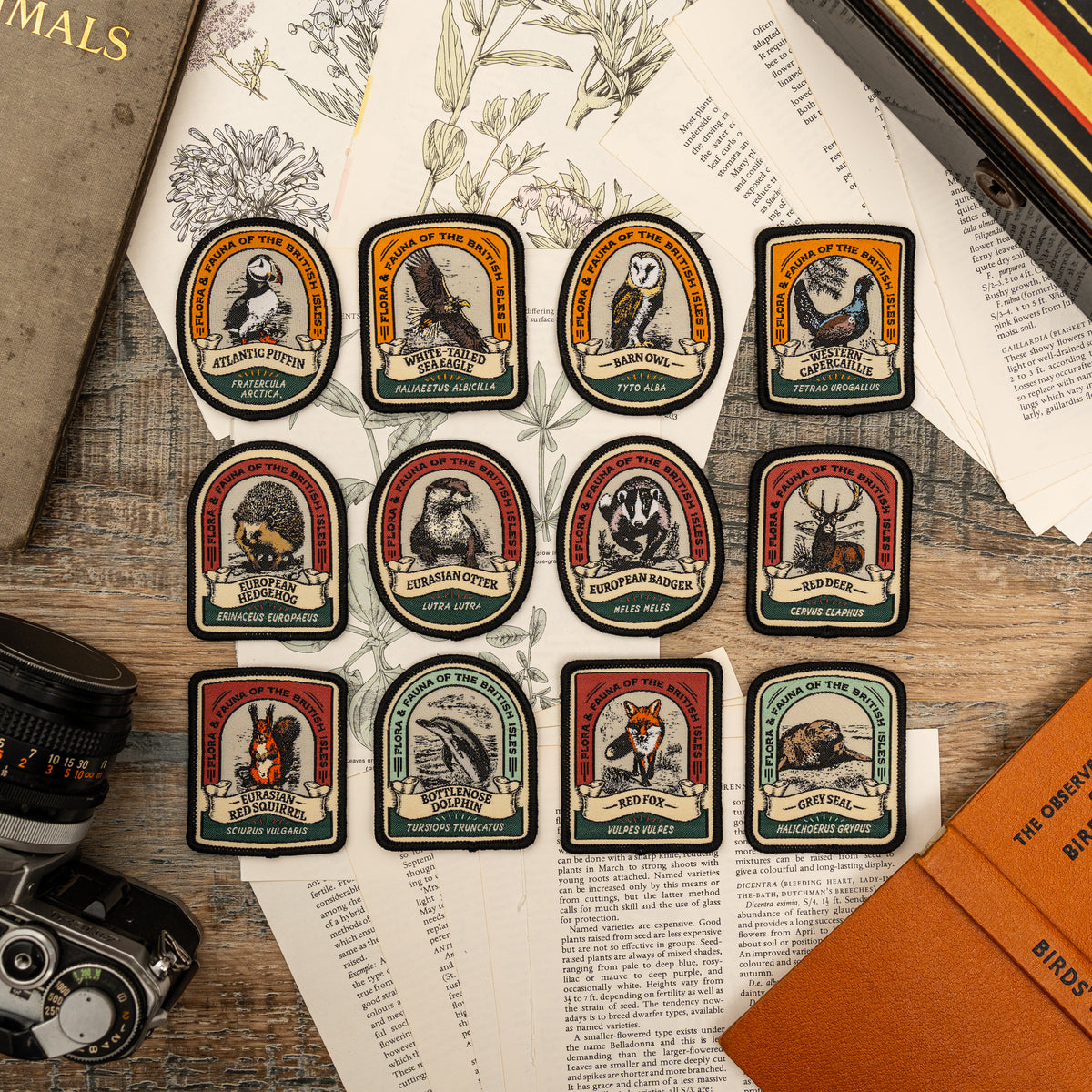 British Wildlife patches flat-lay collection - retro woven wildlife patches including Red Fox