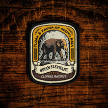 Load image into Gallery viewer, Asian Elephant patch