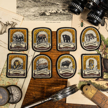 Load image into Gallery viewer, Asiatic Lion