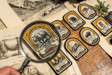 Load image into Gallery viewer, Bengal Tiger patch