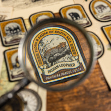 Load image into Gallery viewer, Indian Bison patch