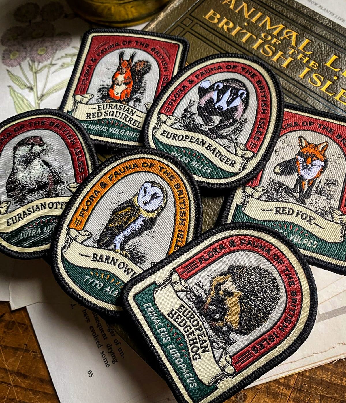 British Wildlife patches lifestyle shot with European Badger - retro woven patches on outdoor gear