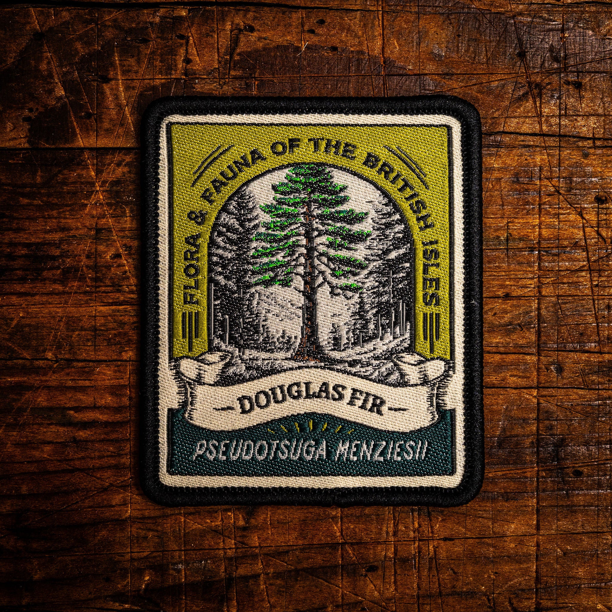 Douglas Fir retro woven patch - tall evergreen conifer tree, British flora patch, iron-on backing