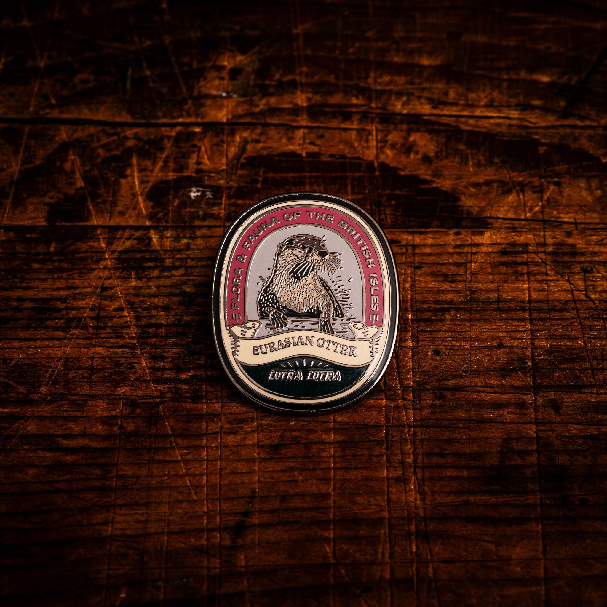 Eurasian Otter hard enamel pin - beloved British riverside mammal, wildlife design, butterfly clasp