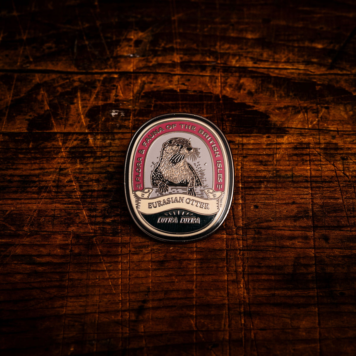 Eurasian Otter hard enamel pin - beloved British riverside mammal, wildlife design, butterfly clasp