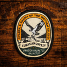 Eurasian Osprey retro woven patch - iconic British fishing raptor, wildlife patch, iron-on backing
