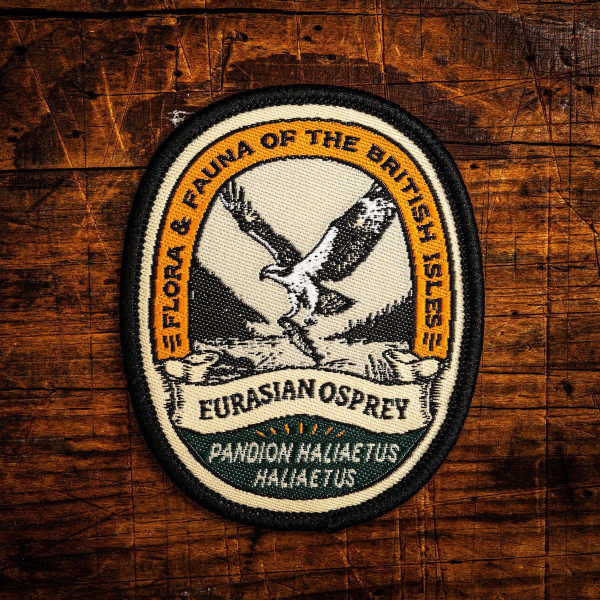 Eurasian Osprey retro woven patch - iconic British fishing raptor, wildlife patch, iron-on backing