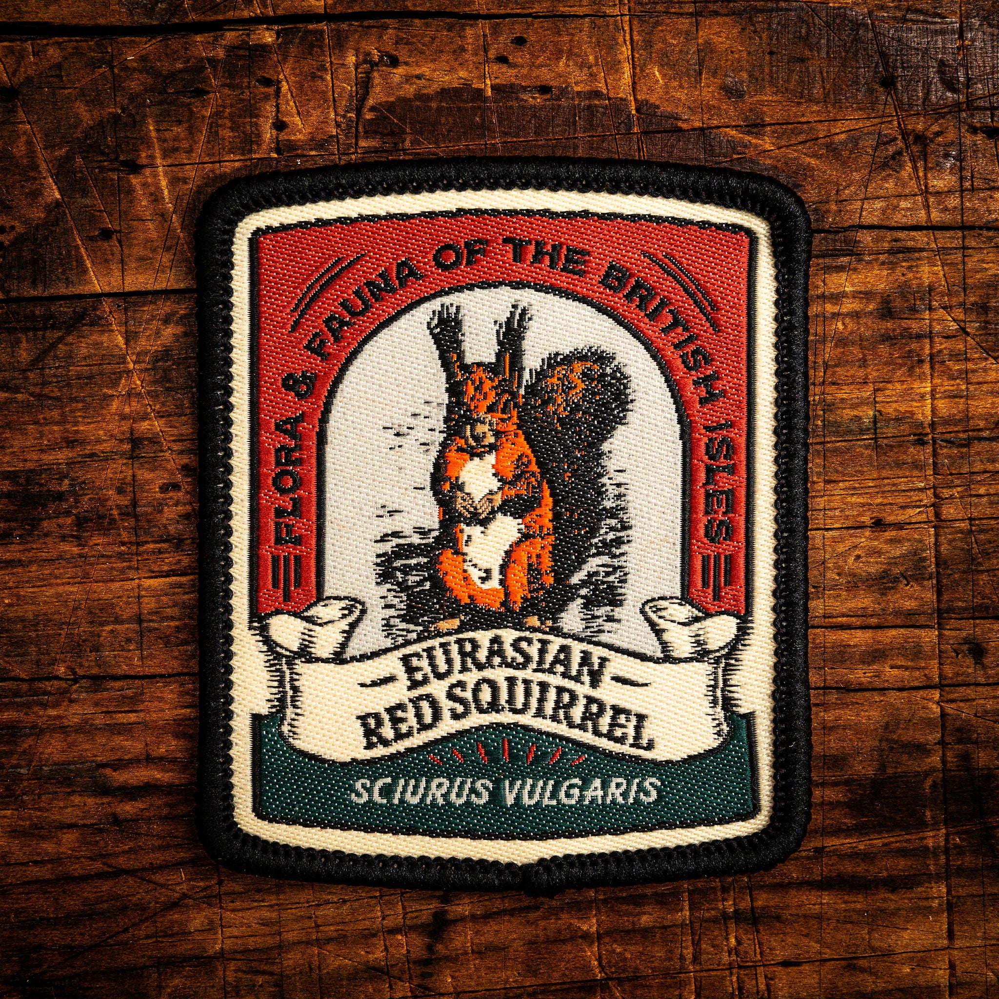 Eurasian Red Squirrel retro woven patch - protected British mammal, wildlife patch, iron-on backing