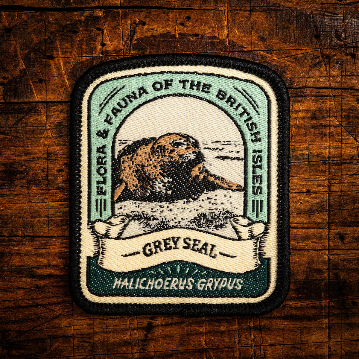 Grey Seal retro woven patch - most common UK seal species, wildlife patch, iron-on backing