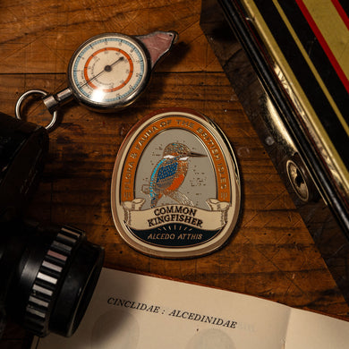 Common Kingfisher fridge magnet