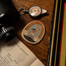 Load image into Gallery viewer, Common Kingfisher fridge magnet