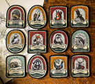 British Wildlife patches including White-tailed Sea Eagle - retro woven wildlife patches collection