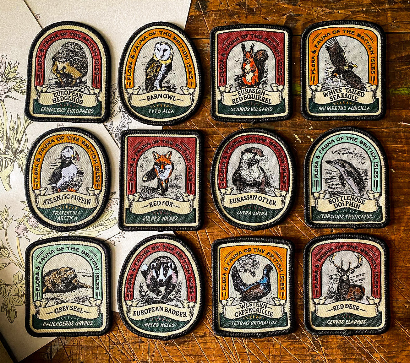 British Wildlife patches including Grey Seal - retro woven wildlife patches collection