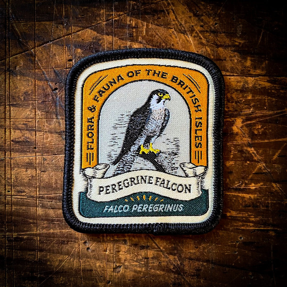 Peregrine Falcon patch – The Adventure Patch Company