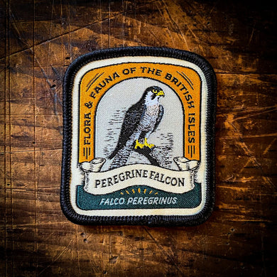 Peregrine Falcon patch