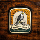 Peregrine Falcon retro woven patch - world's fastest bird, British wildlife patch, iron-on backing