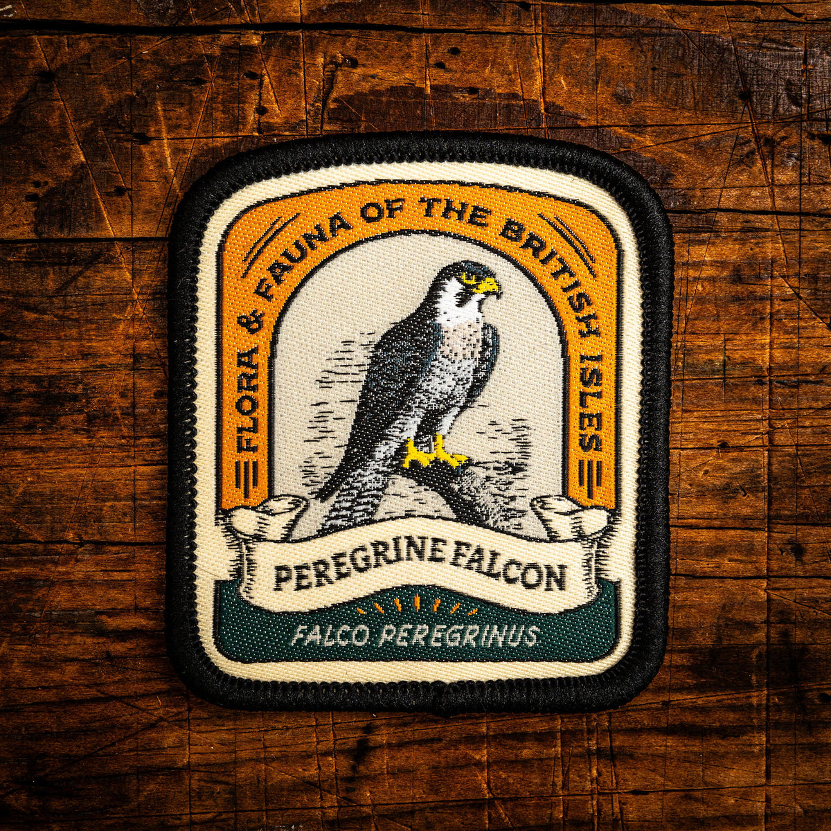 Peregrine Falcon retro woven patch - world's fastest bird, British wildlife patch, iron-on backing