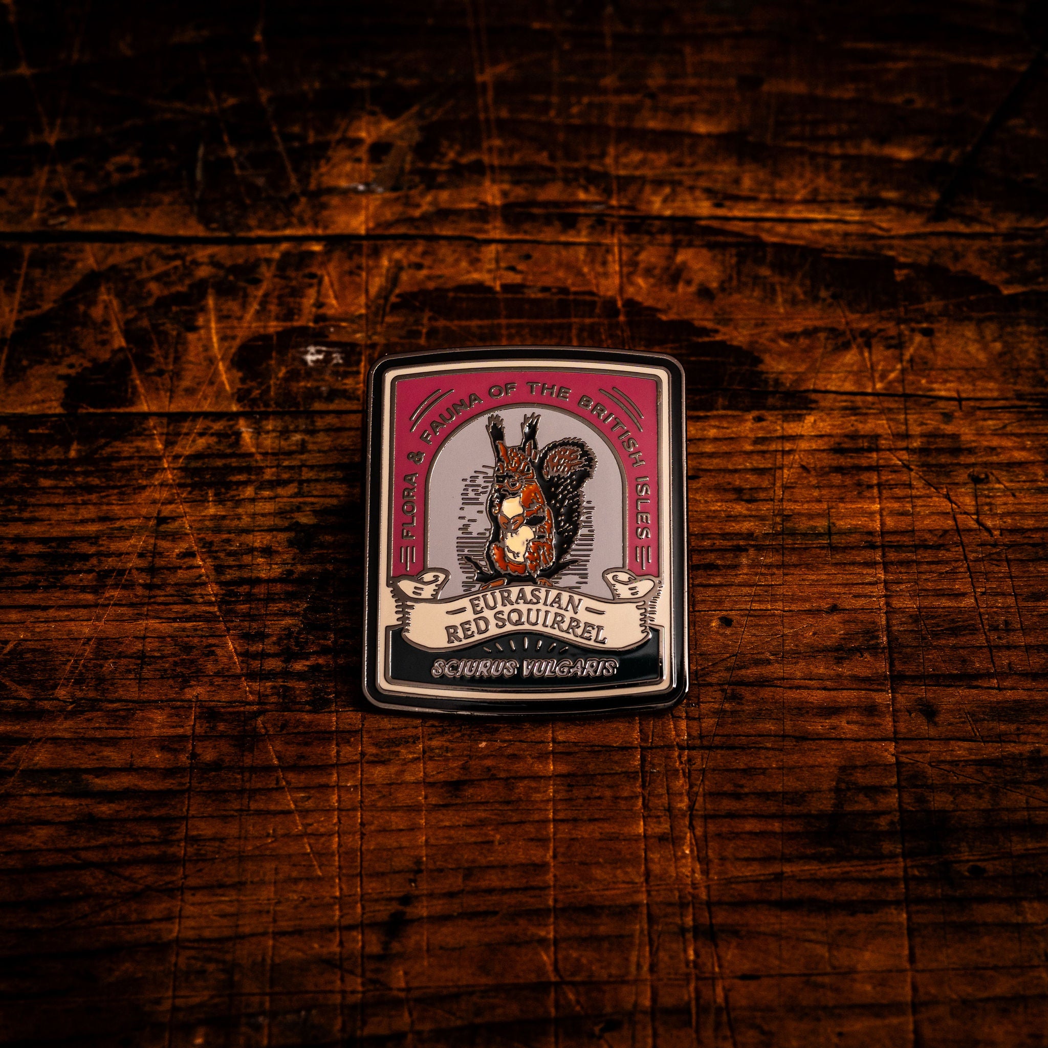 Eurasian Red Squirrel hard enamel pin - protected British mammal, wildlife design, butterfly clasp