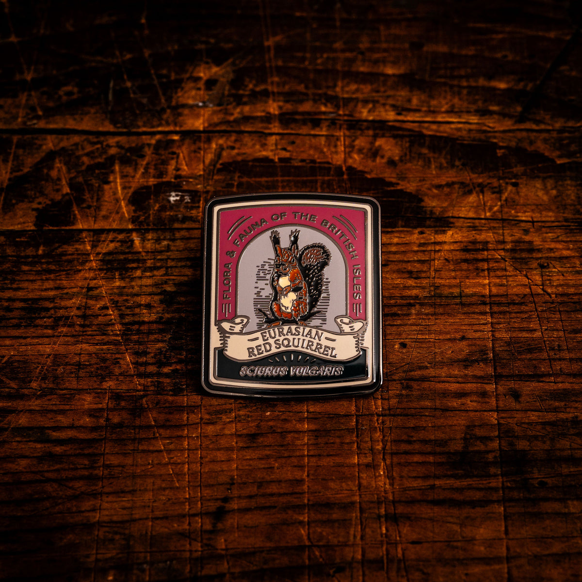 Eurasian Red Squirrel hard enamel pin - protected British mammal, wildlife design, butterfly clasp