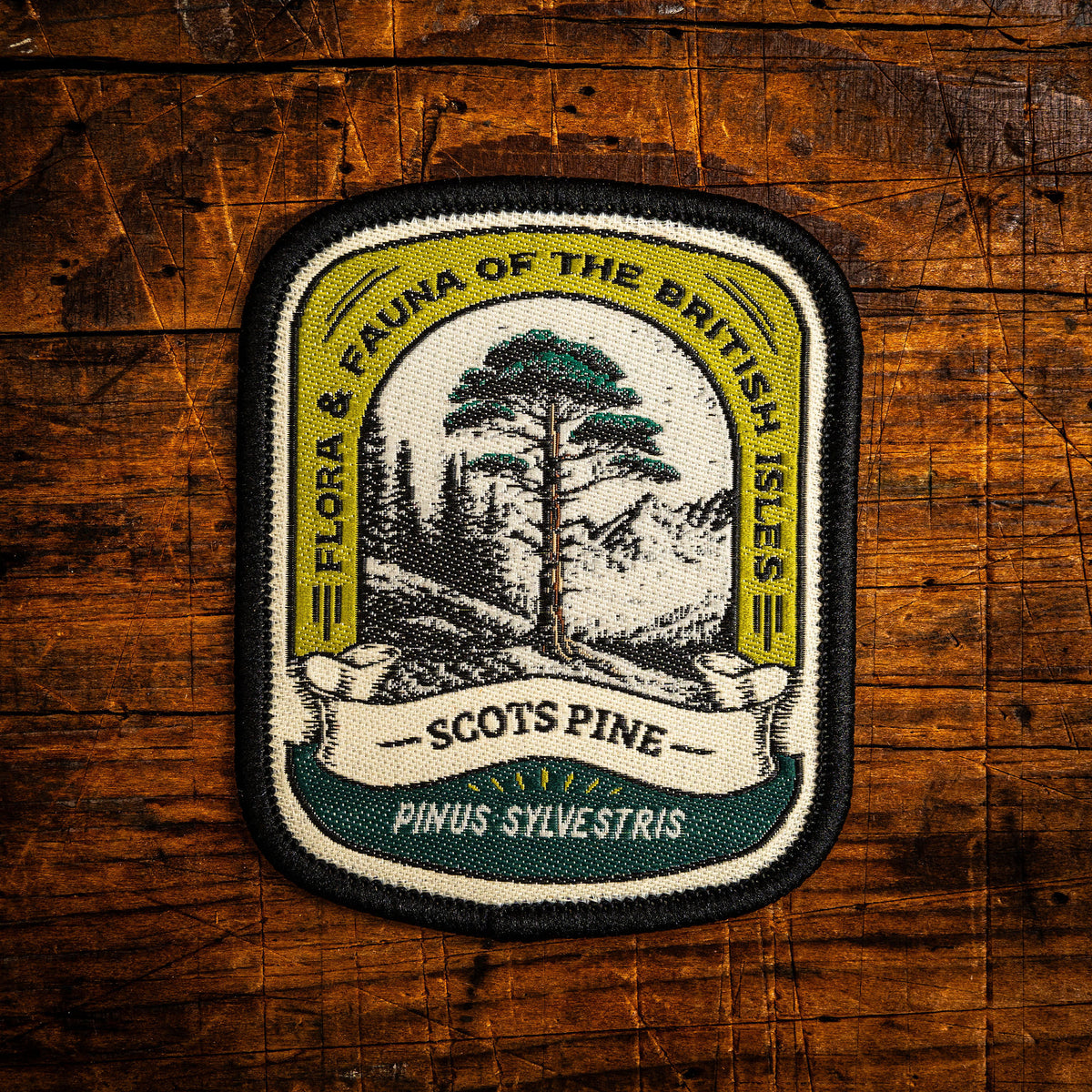 Scots Pine retro woven patch - iconic Scottish native tree, flora patch, iron-on backing, recycled yarn