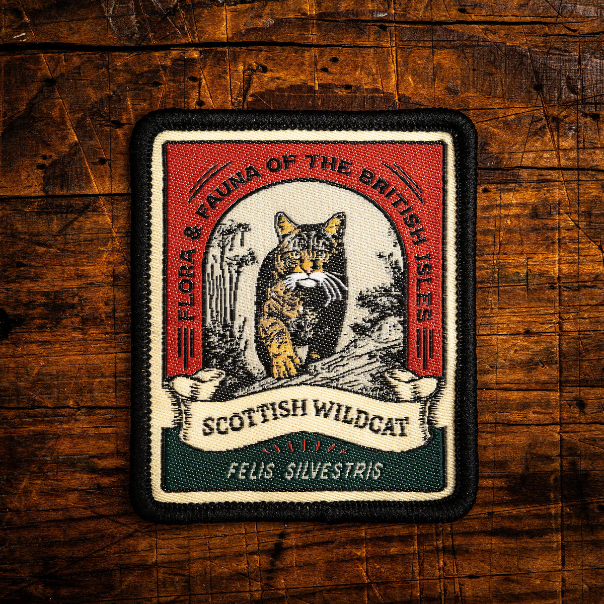 Scottish Wildcat retro woven patch - critically endangered British wild cat, wildlife patch, iron-on