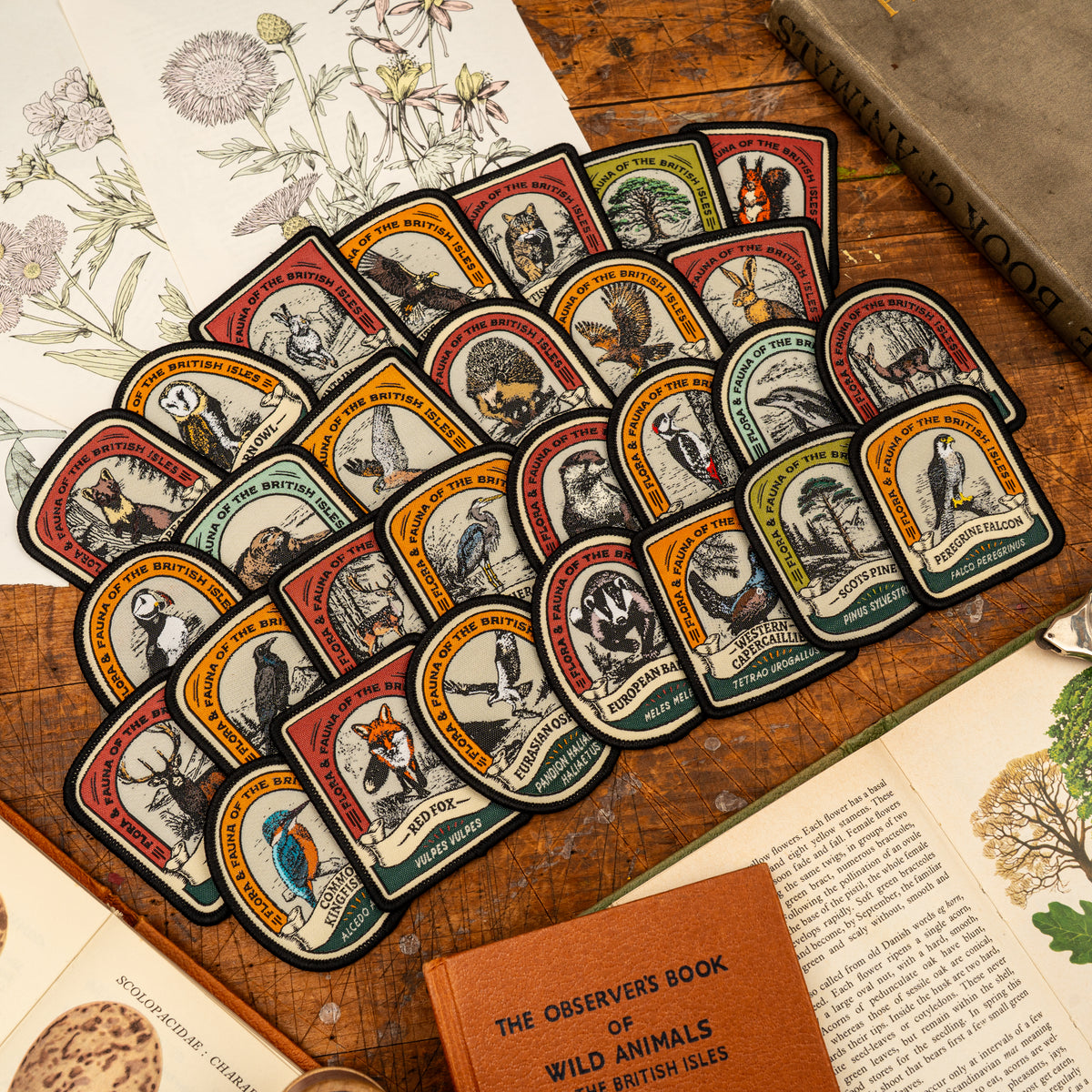 British Wildlife patches collection shot - retro woven wildlife patches displayed on outdoor gear