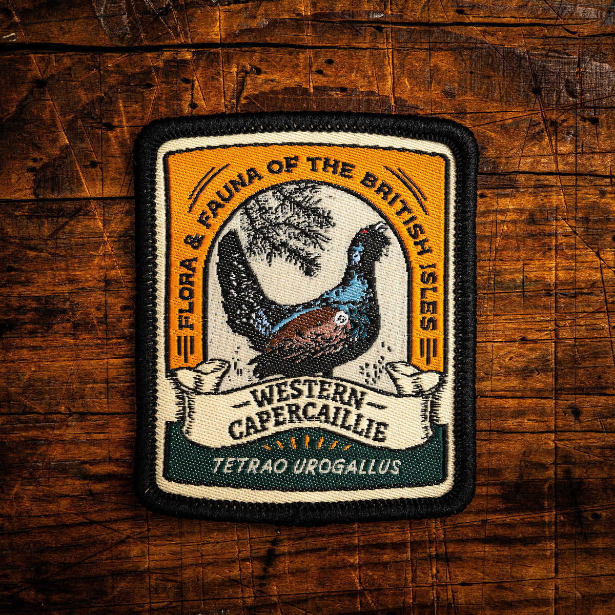 Western Capercaillie retro woven patch - iconic Scottish woodland bird, iron-on backing, recycled yarn