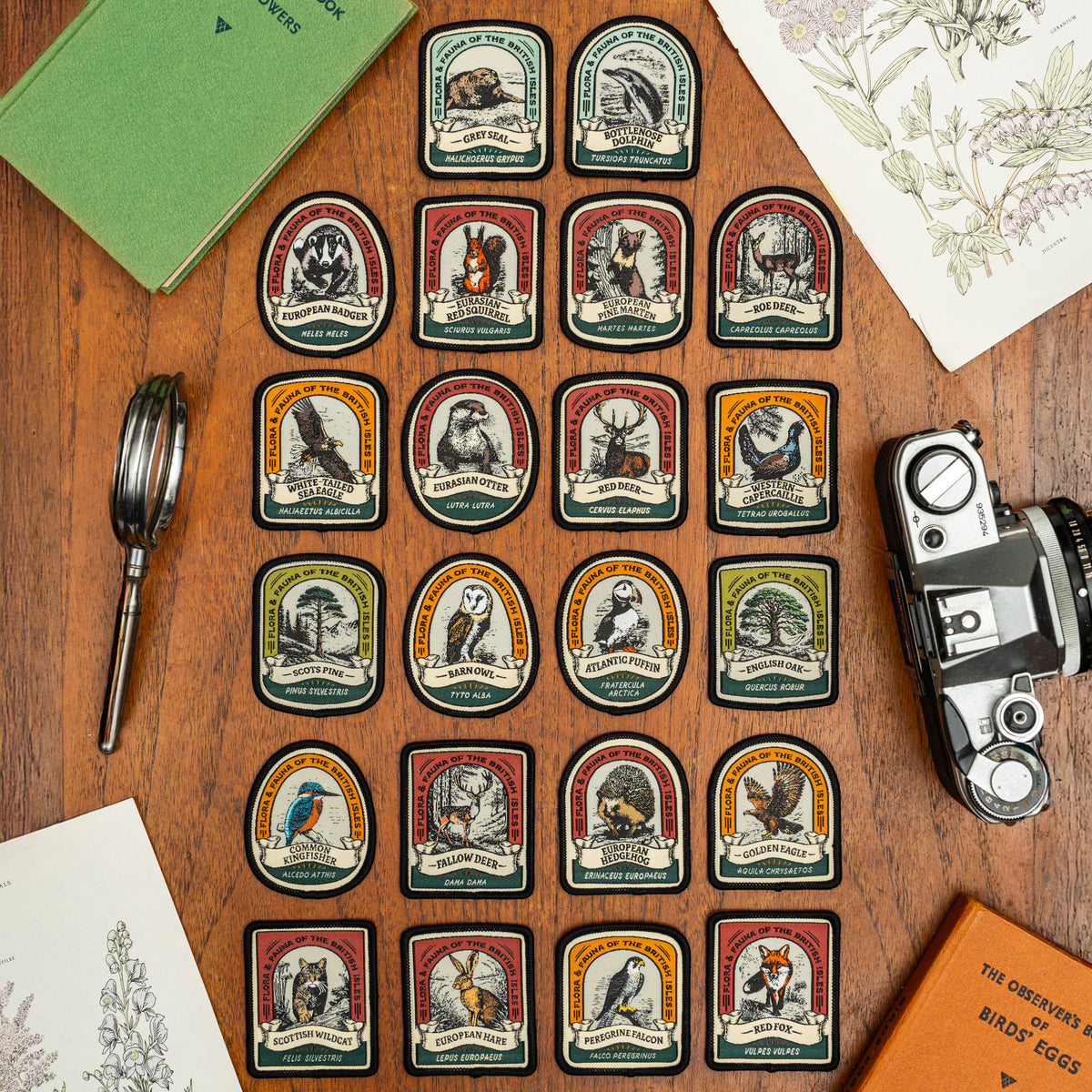 British Wildlife patches flat-lay collection - retro woven wildlife patches including Atlantic Puffin